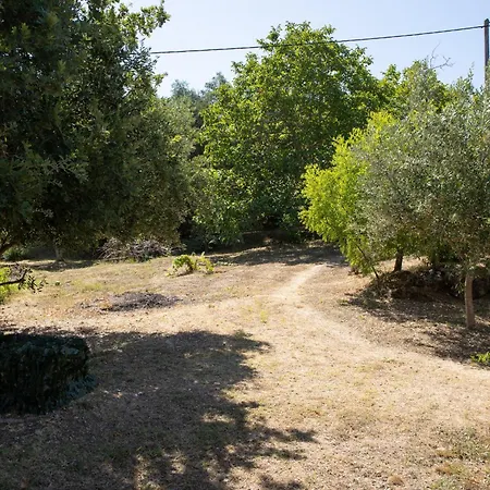 Apricus Domum Apartment