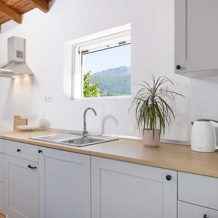 Apartment Apricus Domum *