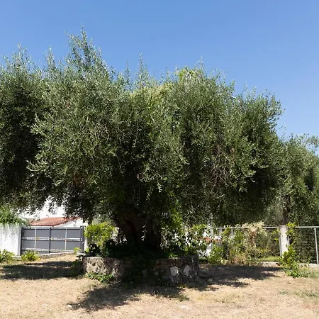 Apricus Domum Apartment Kato Korakiana